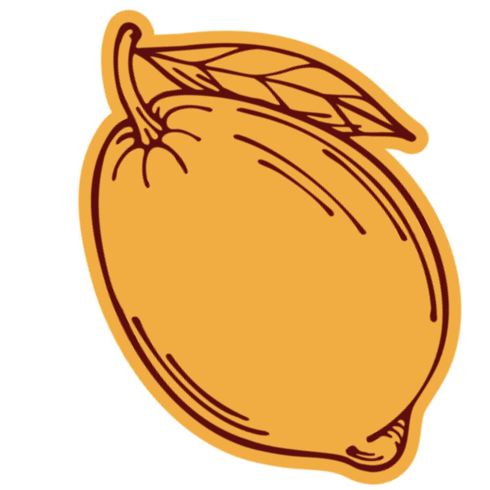 Illustration of a lemon with a single leaf, outlined in brown on a light background. representing Vitality Nutrition with Rachel Green in Ohio