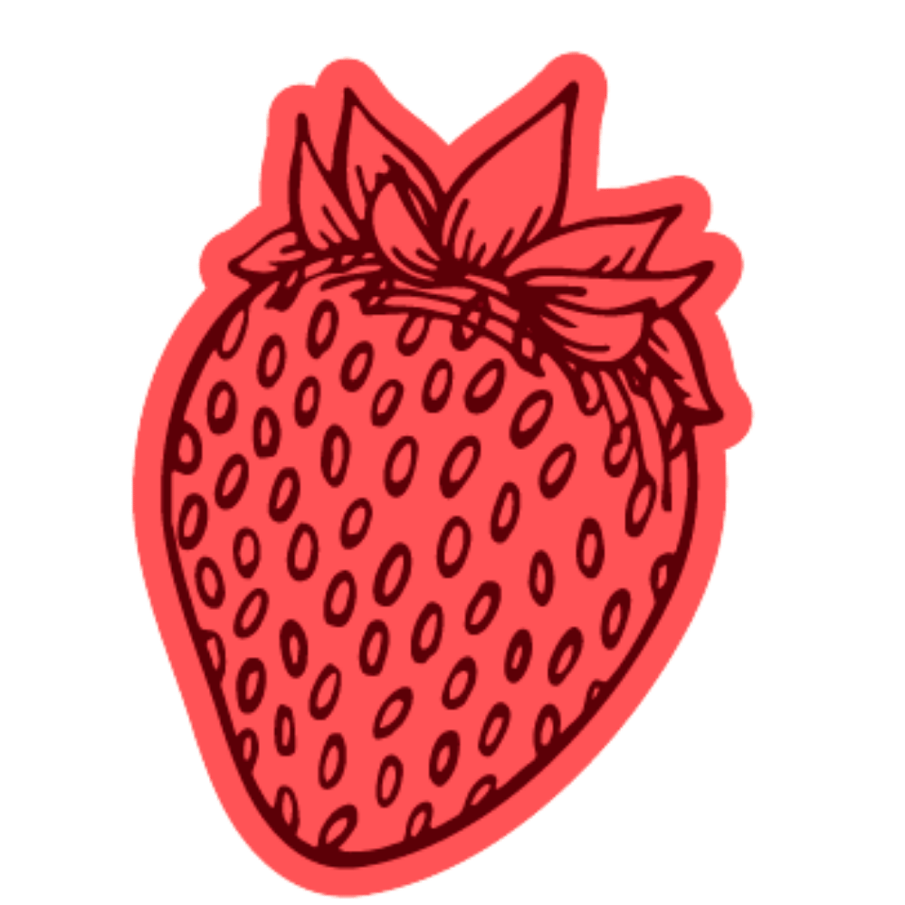 A simple red line drawing of a strawberry with seeds and leaves, outlined with a bold border, on a plain background representing Vitality Nutrition with Rachel Green in Ohio